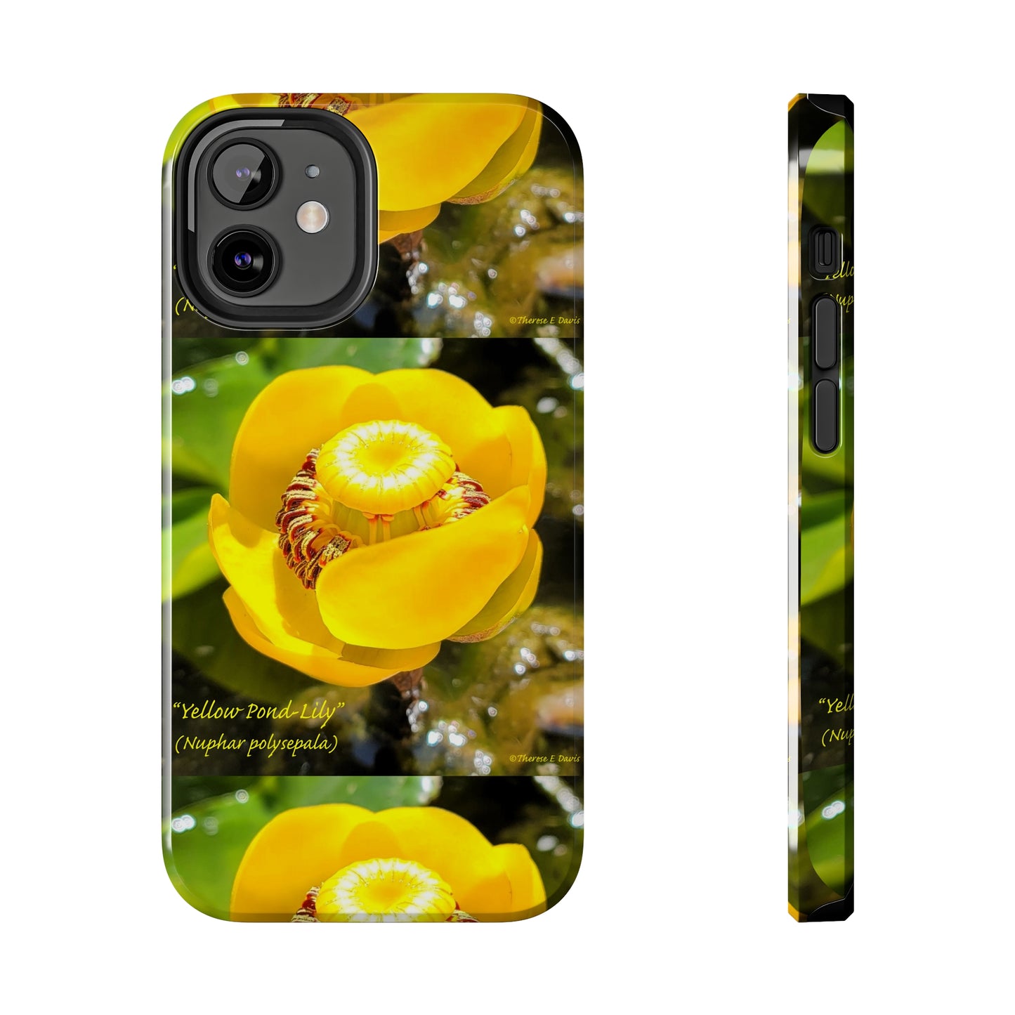 'Pond Lily Serenity' - Tough iPhone Cases (Models 7-15) (PT-00102-02-iP-SP-Bl)