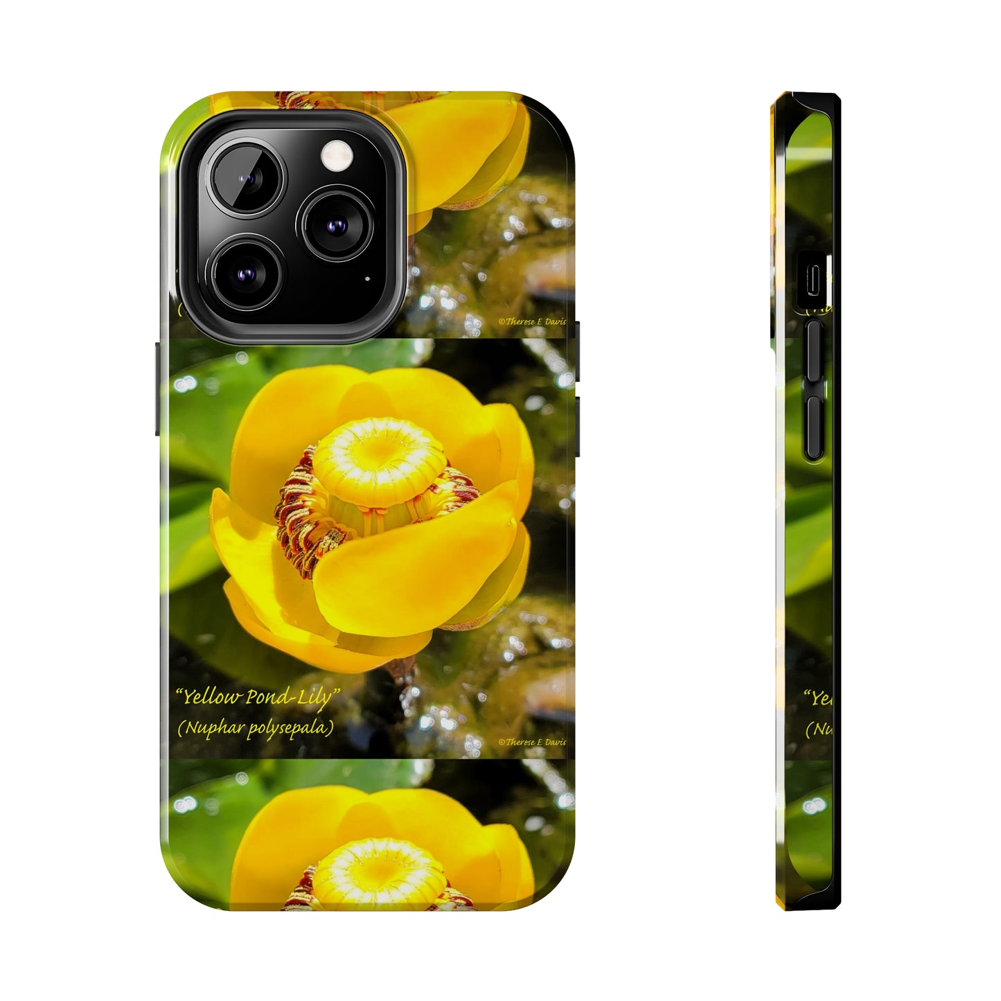 'Pond Lily Serenity' - Tough iPhone Cases (Models 7-15) (PT-00102-02-iP-SP-Bl)