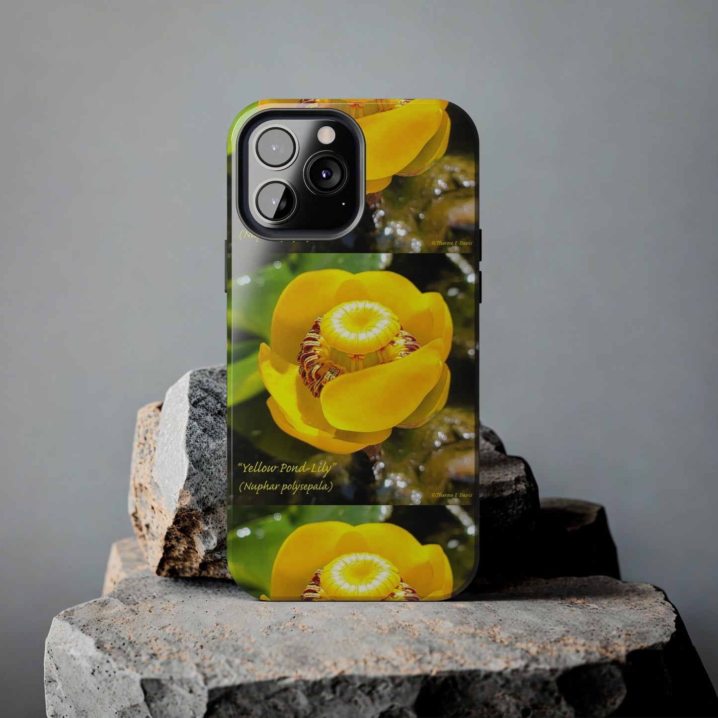 'Pond Lily Serenity' - Tough iPhone Cases (Models 7-15) (PT-00102-02-iP-SP-Bl)