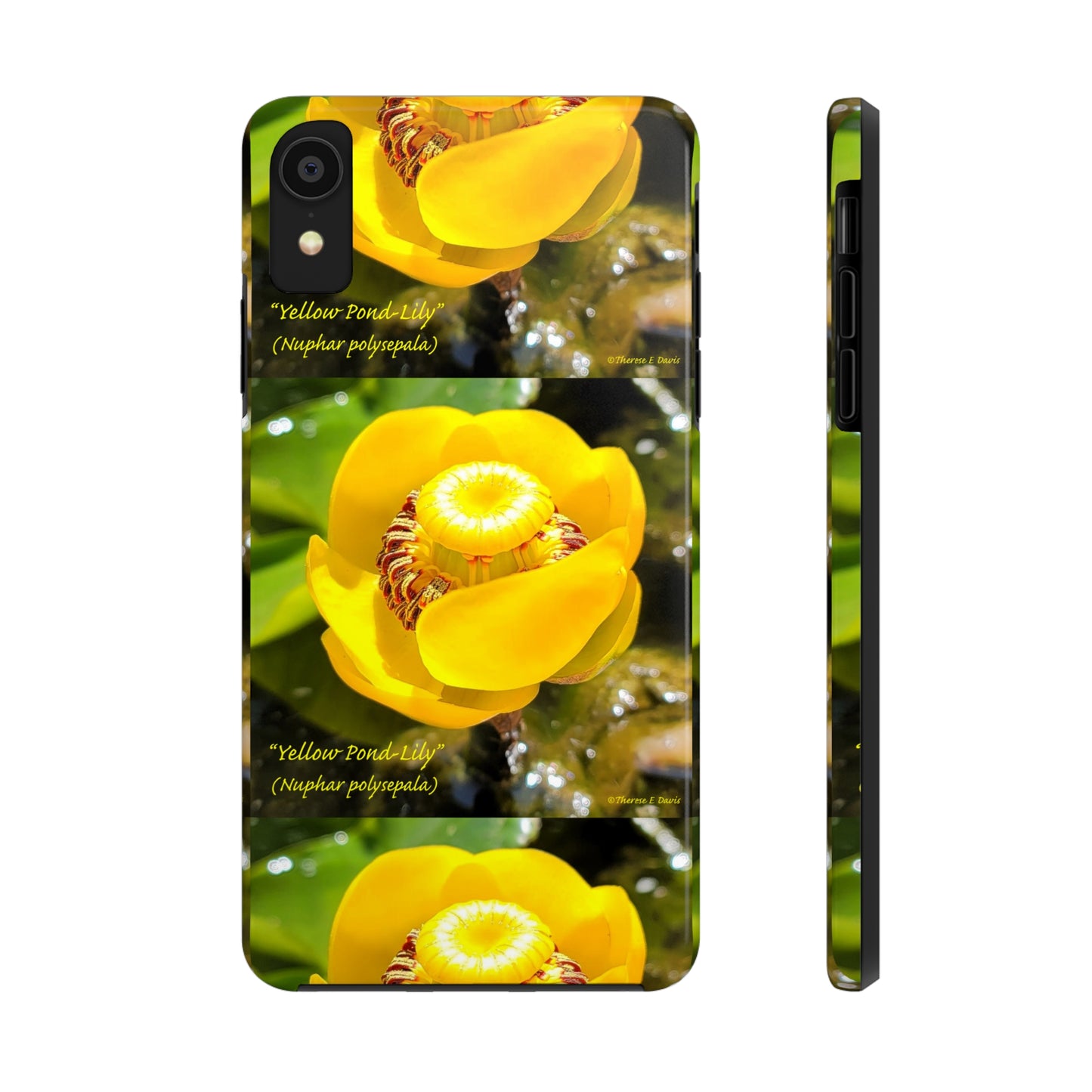 'Pond Lily Serenity' - Tough iPhone Cases (Models 7-15) (PT-00102-02-iP-SP-Bl)