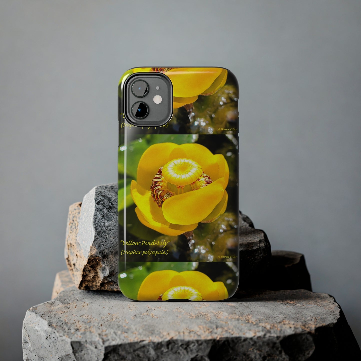 'Pond Lily Serenity' - Tough iPhone Cases (Models 7-15) (PT-00102-02-iP-SP-Bl)