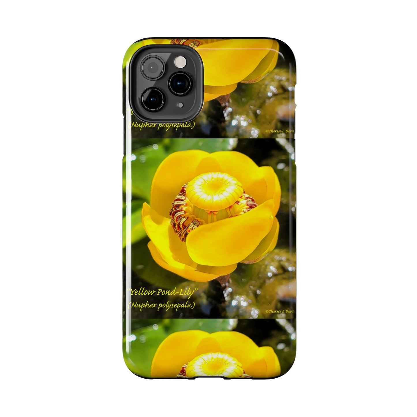 'Pond Lily Serenity' - Tough iPhone Cases (Models 7-15) (PT-00102-02-iP-SP-Bl)