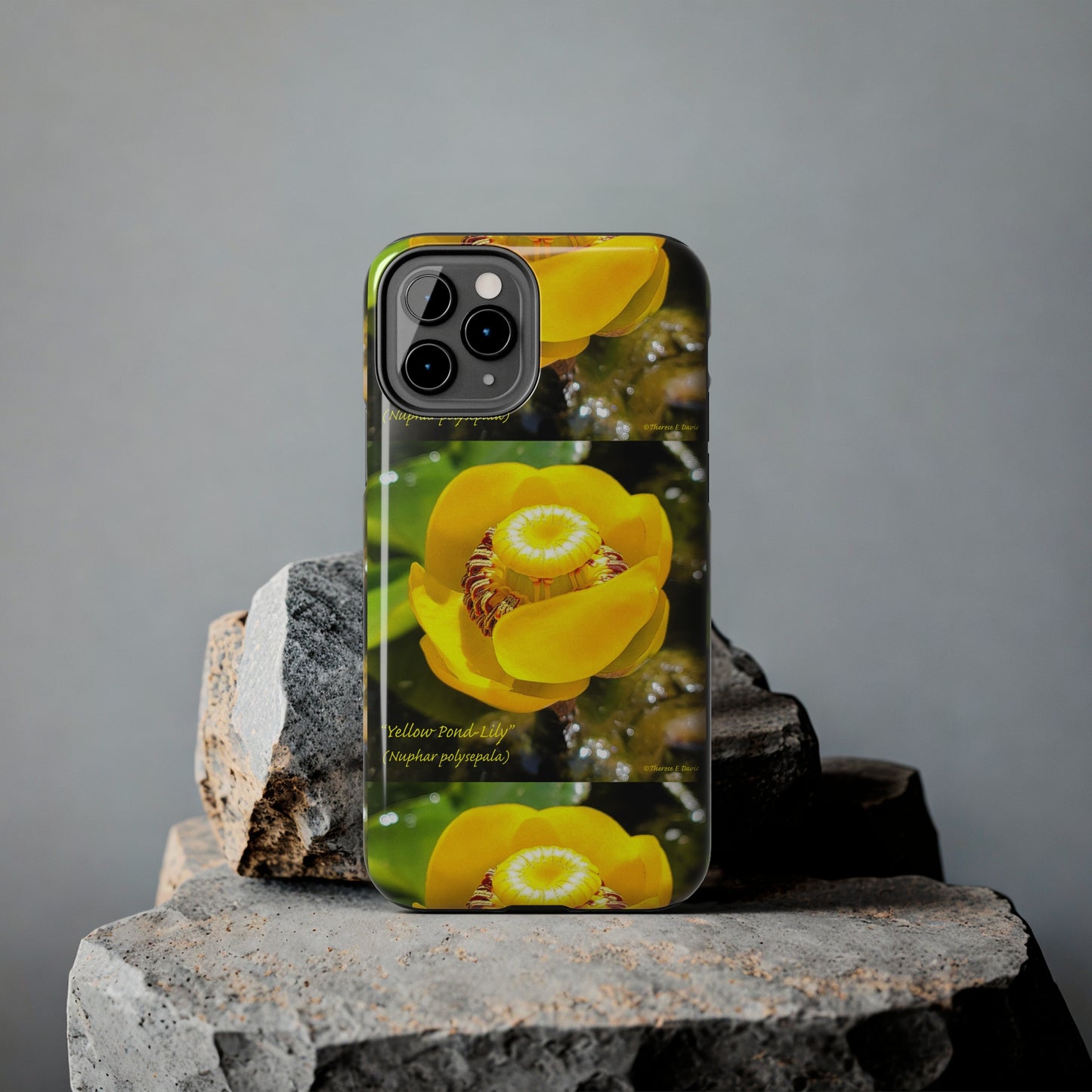 'Pond Lily Serenity' - Tough iPhone Cases (Models 7-15) (PT-00102-02-iP-SP-Bl)
