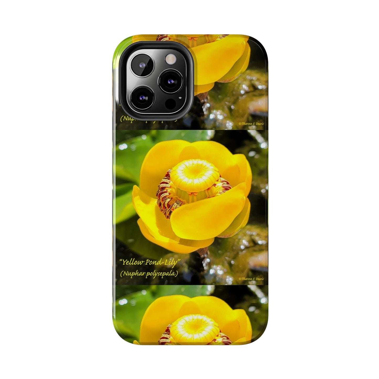 'Pond Lily Serenity' - Tough iPhone Cases (Models 7-15) (PT-00102-02-iP-SP-Bl)