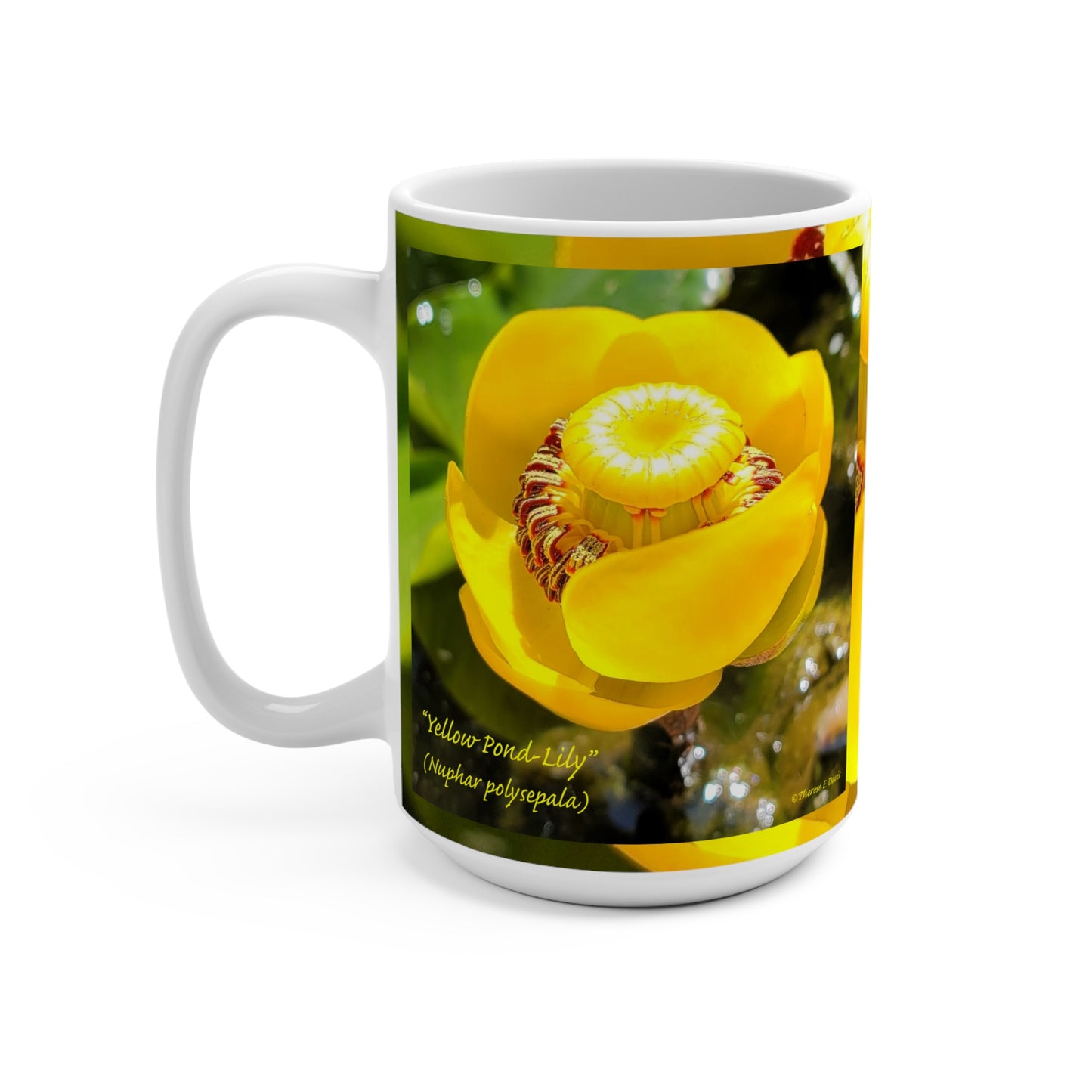 'Pond Lily Serenity' Artistic Mug -15oz (MC-00150-01-15-SP-Wh)
