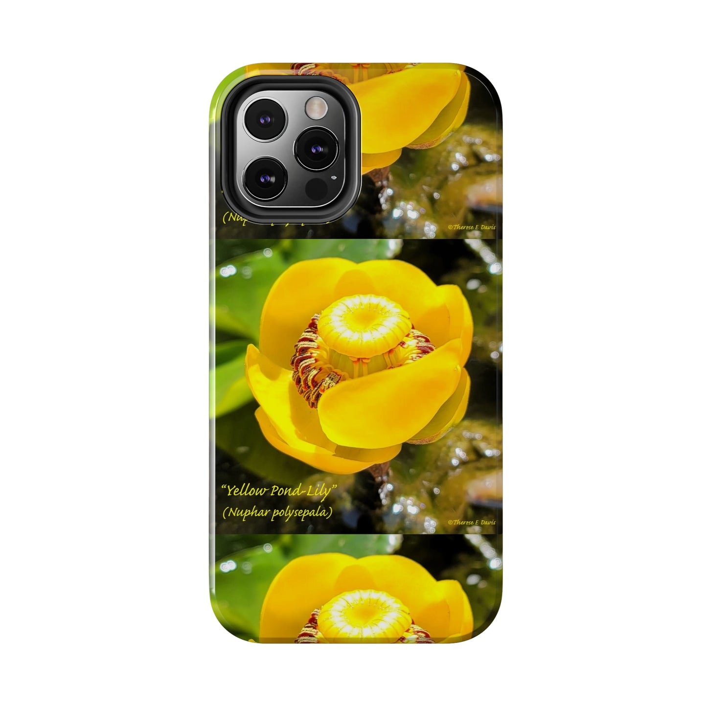 'Pond Lily Serenity' - Tough iPhone Cases (Models 7-15) (PT-00102-02-iP-SP-Bl)