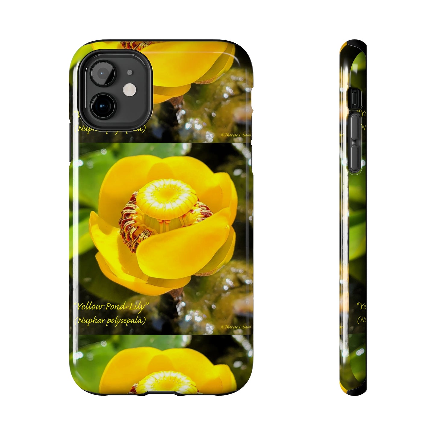 'Pond Lily Serenity' - Tough iPhone Cases (Models 7-15) (PT-00102-02-iP-SP-Bl)