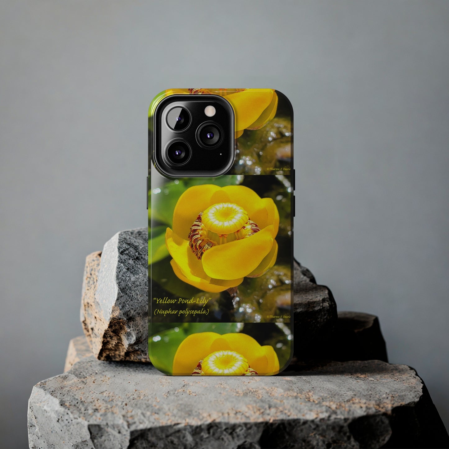 'Pond Lily Serenity' - Tough iPhone Cases (Models 7-15) (PT-00102-02-iP-SP-Bl)