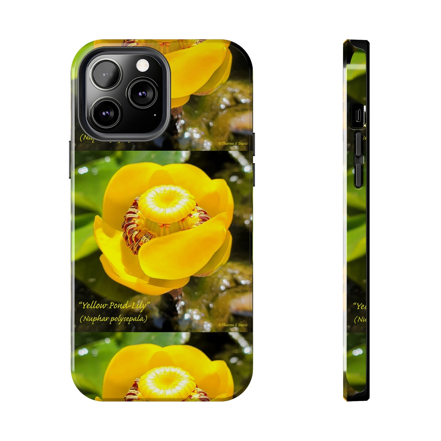 'Pond Lily Serenity' - Tough iPhone Cases (Models 7-15) (PT-00102-02-iP-SP-Bl)