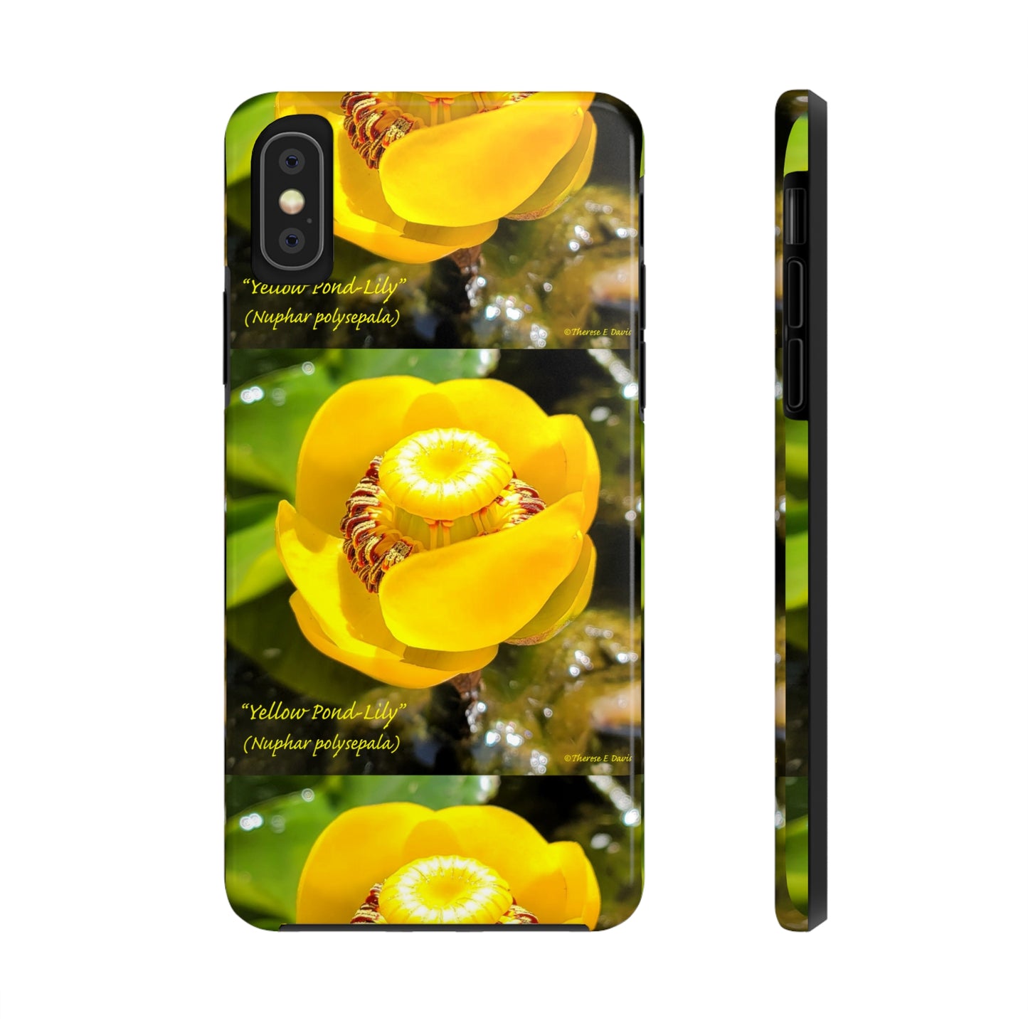 'Pond Lily Serenity' - Tough iPhone Cases (Models 7-15) (PT-00102-02-iP-SP-Bl)