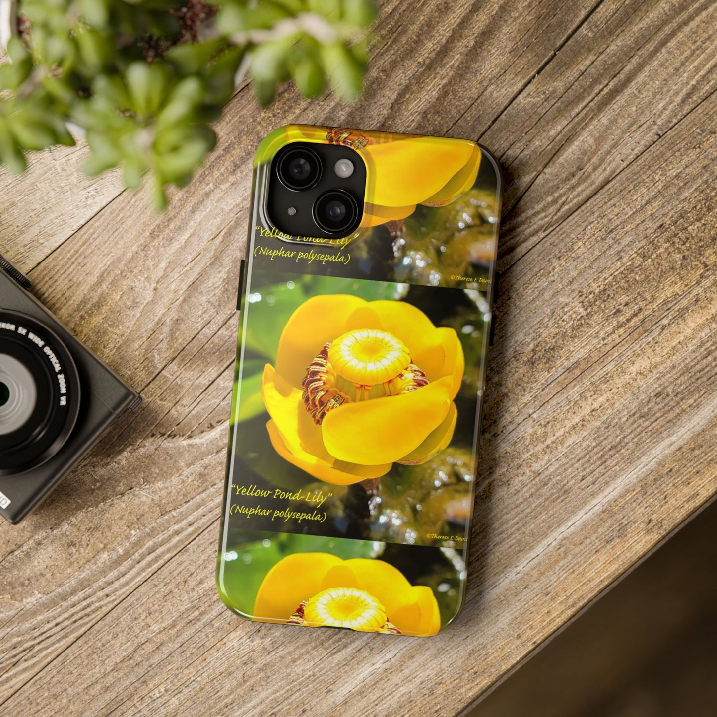 'Pond Lily Serenity' - Tough iPhone Cases (Models 7-15) (PT-00102-02-iP-SP-Bl)