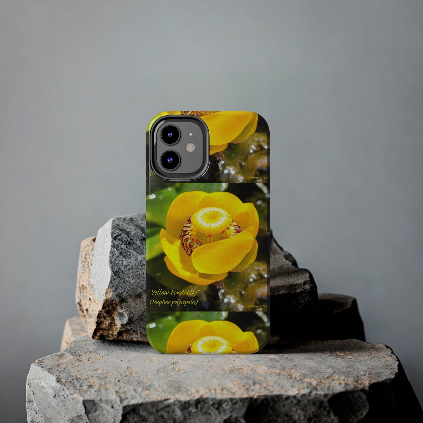 'Pond Lily Serenity' - Tough iPhone Cases (Models 7-15) (PT-00102-02-iP-SP-Bl)