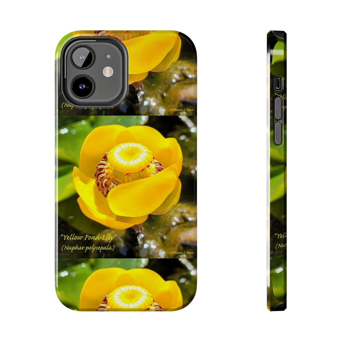 'Pond Lily Serenity' - Tough iPhone Cases (Models 7-15) (PT-00102-02-iP-SP-Bl)