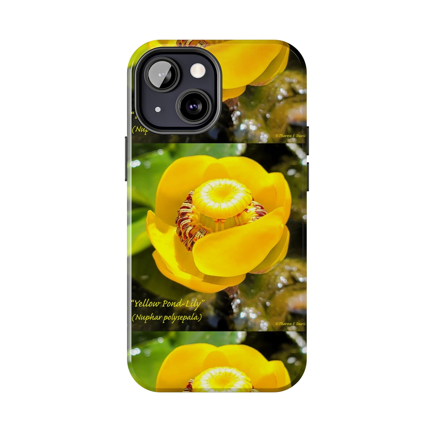 'Pond Lily Serenity' - Tough iPhone Cases (Models 7-15) (PT-00102-02-iP-SP-Bl)