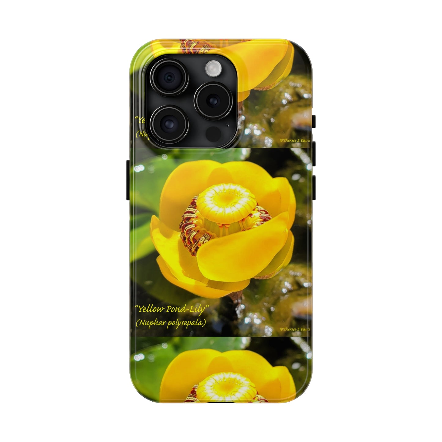 'Pond Lily Serenity' - Tough iPhone Cases (Models 7-15) (PT-00102-02-iP-SP-Bl)