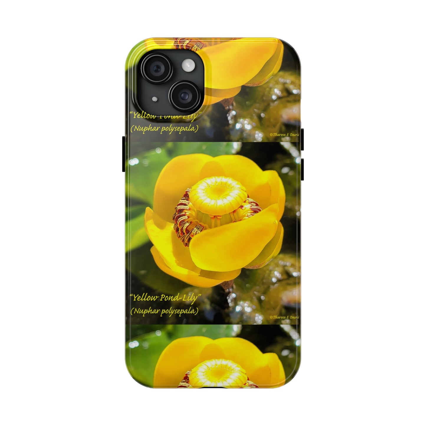 'Pond Lily Serenity' - Tough iPhone Cases (Models 7-15) (PT-00102-02-iP-SP-Bl)