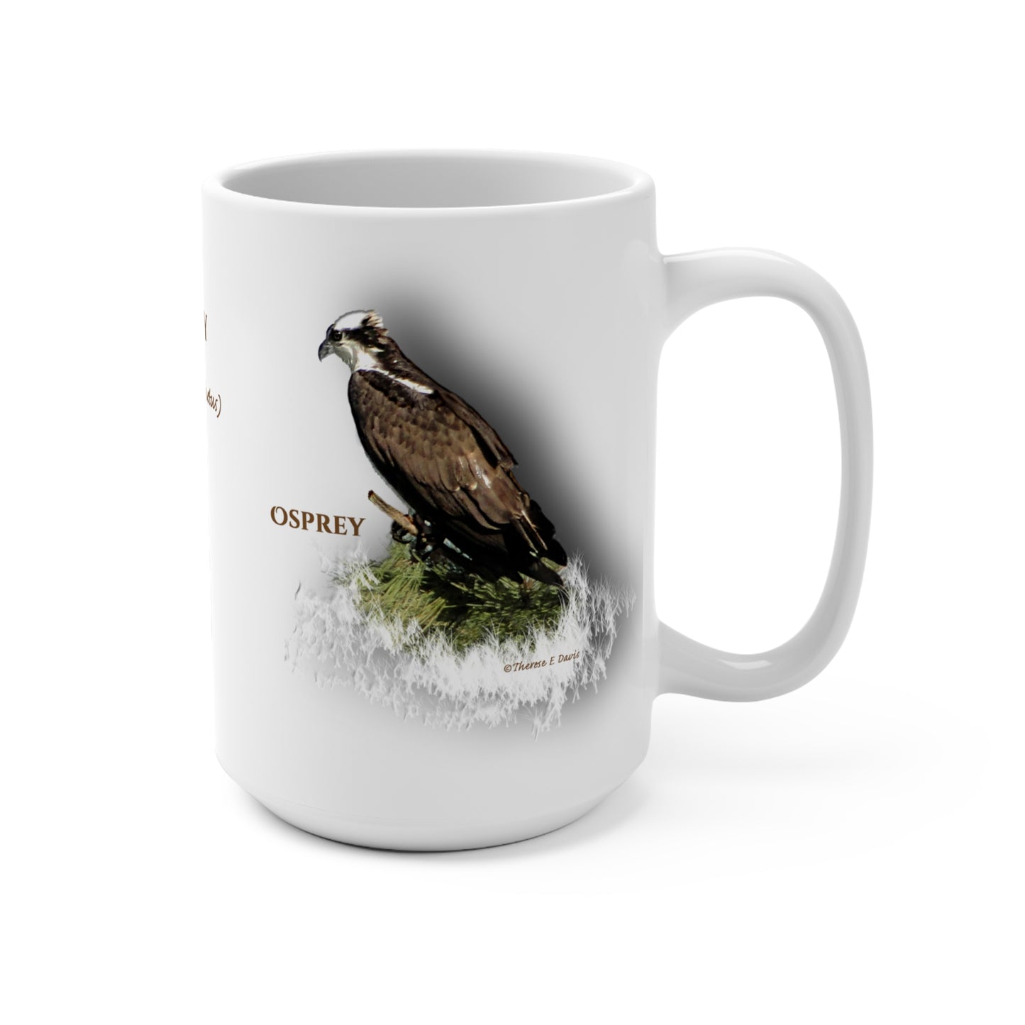 'Osprey - Bird's View' Artistic Mug - 15oz (MC-00139-01-15-SP-Wh)