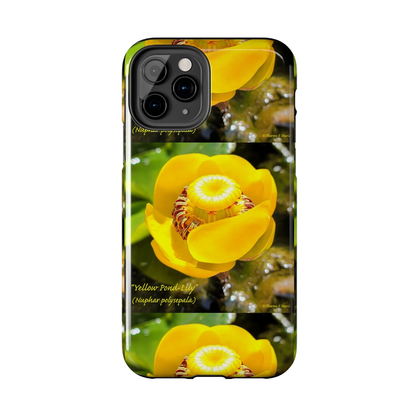 'Pond Lily Serenity' - Tough iPhone Cases (Models 7-15) (PT-00102-02-iP-SP-Bl)