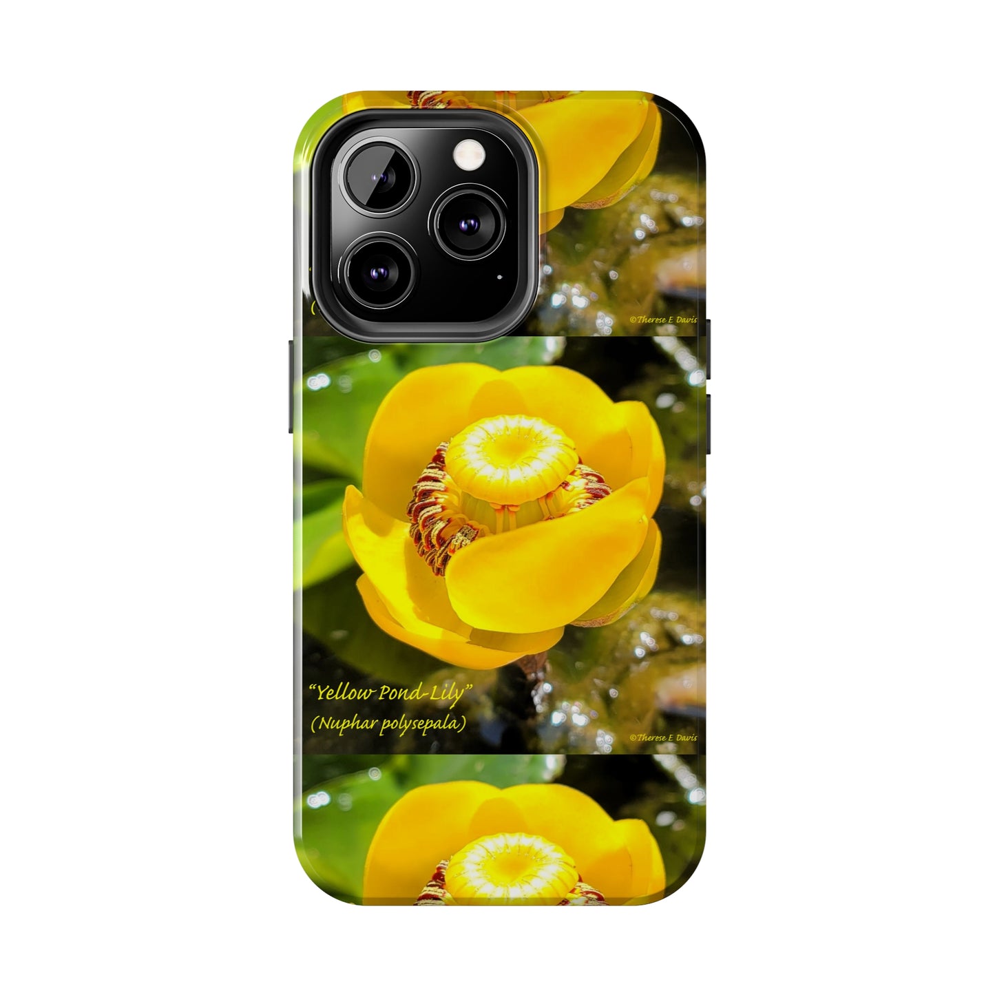 'Pond Lily Serenity' - Tough iPhone Cases (Models 7-15) (PT-00102-02-iP-SP-Bl)