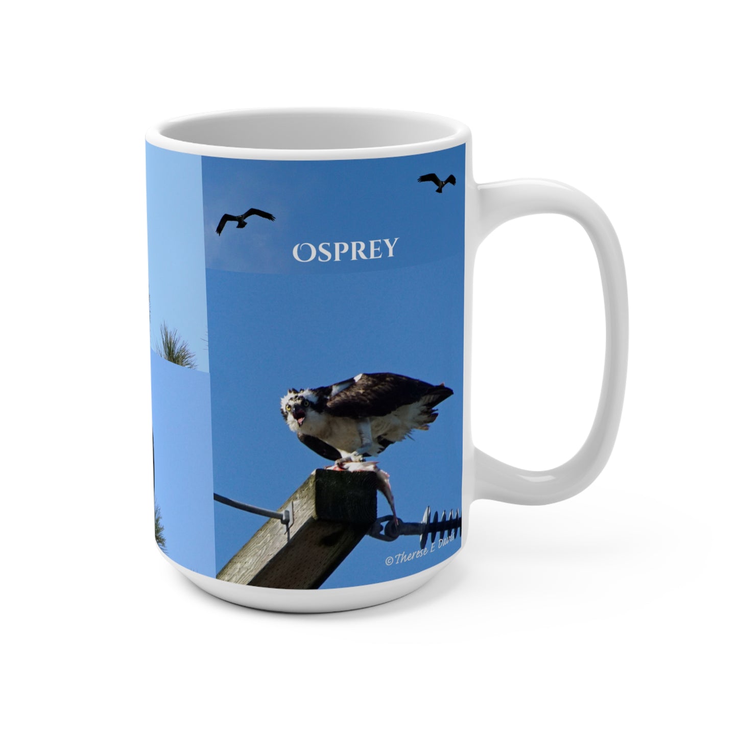 'Osprey - Photo Showcase' Artistic Mug - 15oz (MC-00140-01-15-SP-Wh)