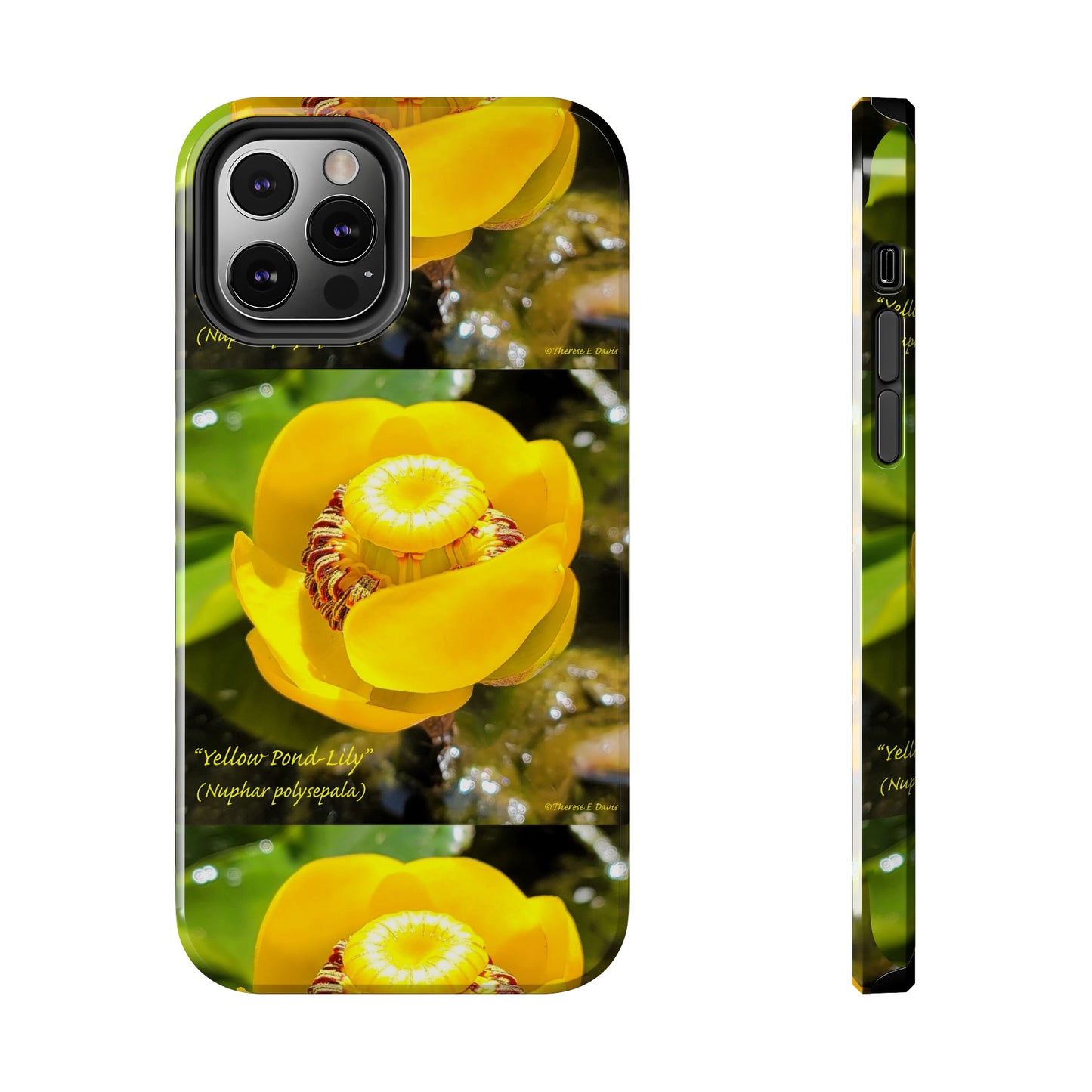 'Pond Lily Serenity' - Tough iPhone Cases (Models 7-15) (PT-00102-02-iP-SP-Bl)