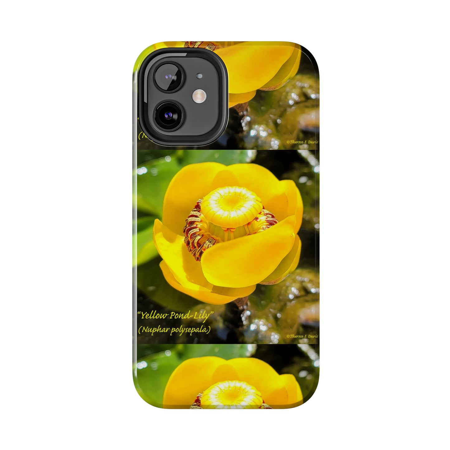'Pond Lily Serenity' - Tough iPhone Cases (Models 7-15) (PT-00102-02-iP-SP-Bl)