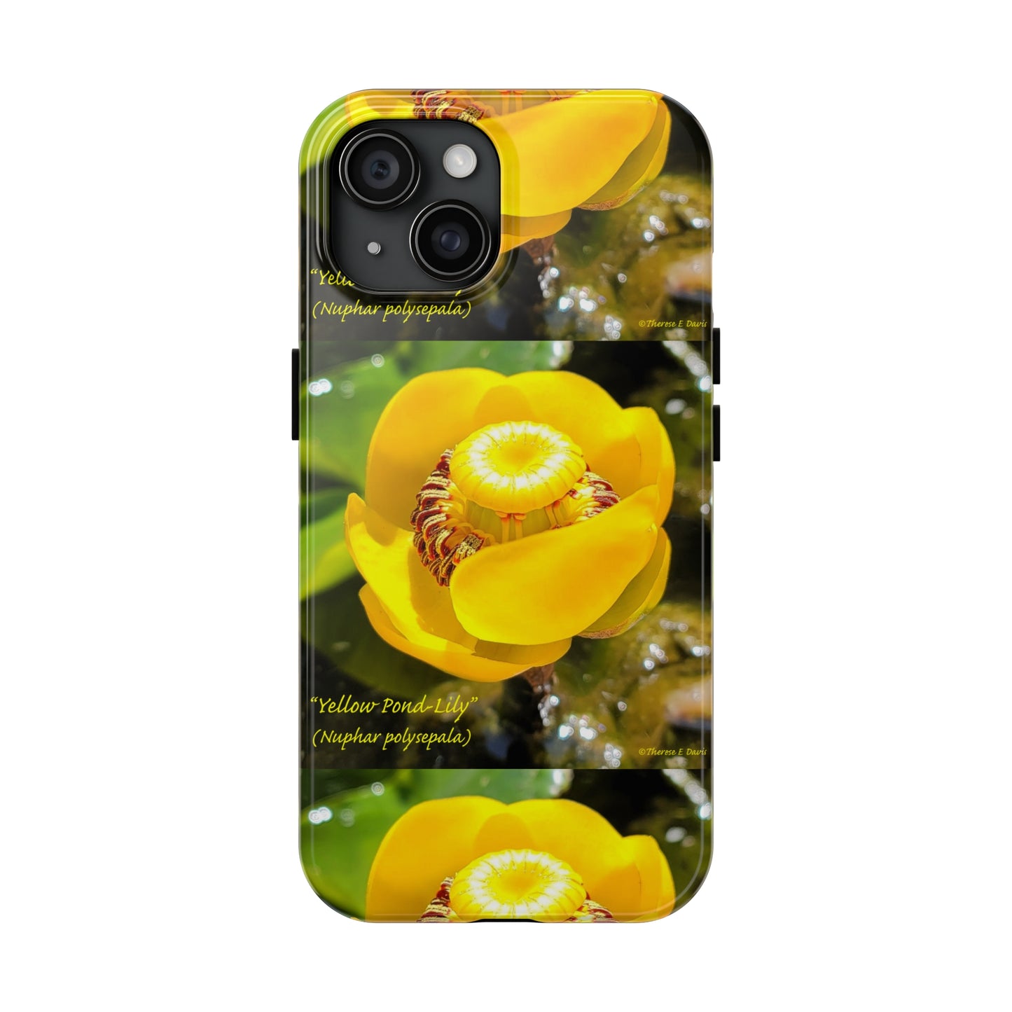 'Pond Lily Serenity' - Tough iPhone Cases (Models 7-15) (PT-00102-02-iP-SP-Bl)