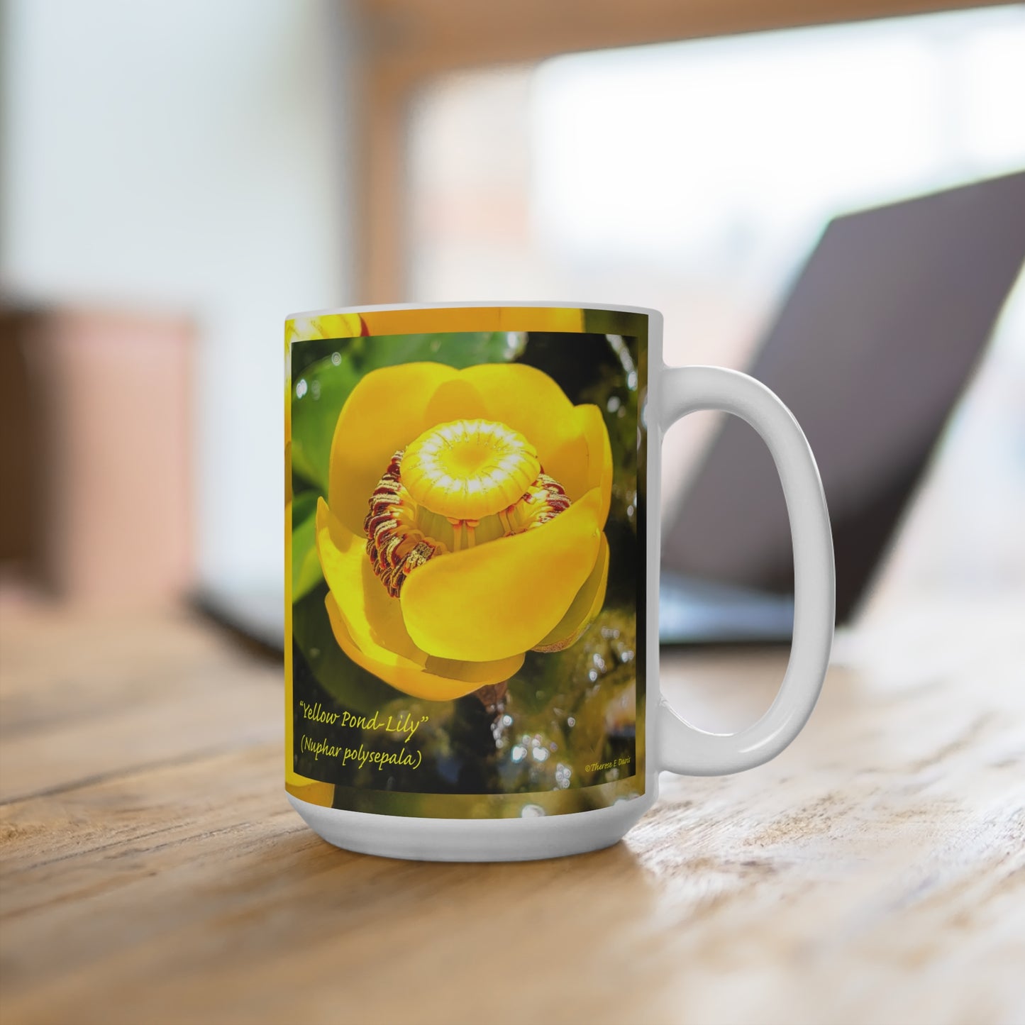 'Pond Lily Serenity' Artistic Mug -15oz (MC-00150-01-15-SP-Wh)