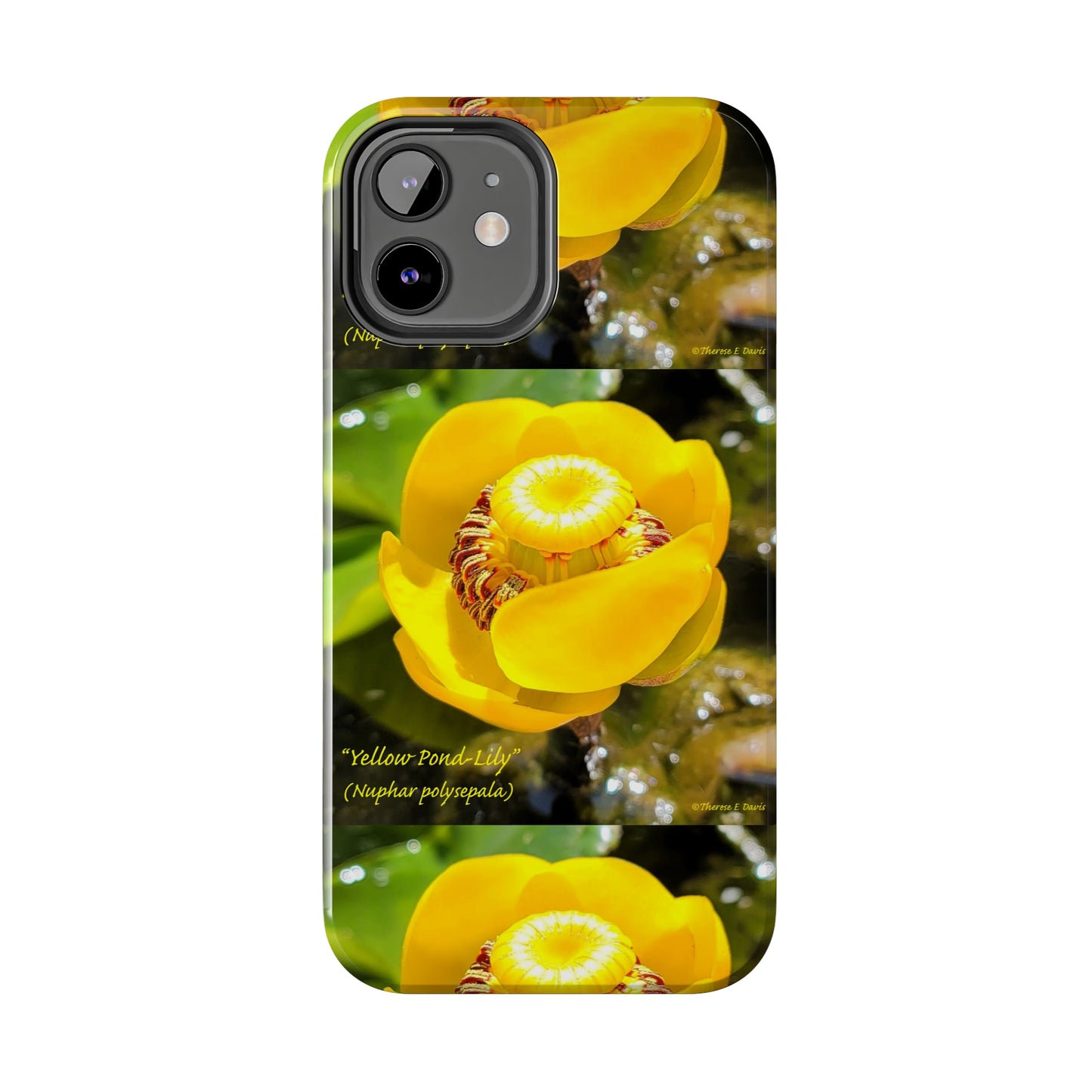 'Pond Lily Serenity' - Tough iPhone Cases (Models 7-15) (PT-00102-02-iP-SP-Bl)