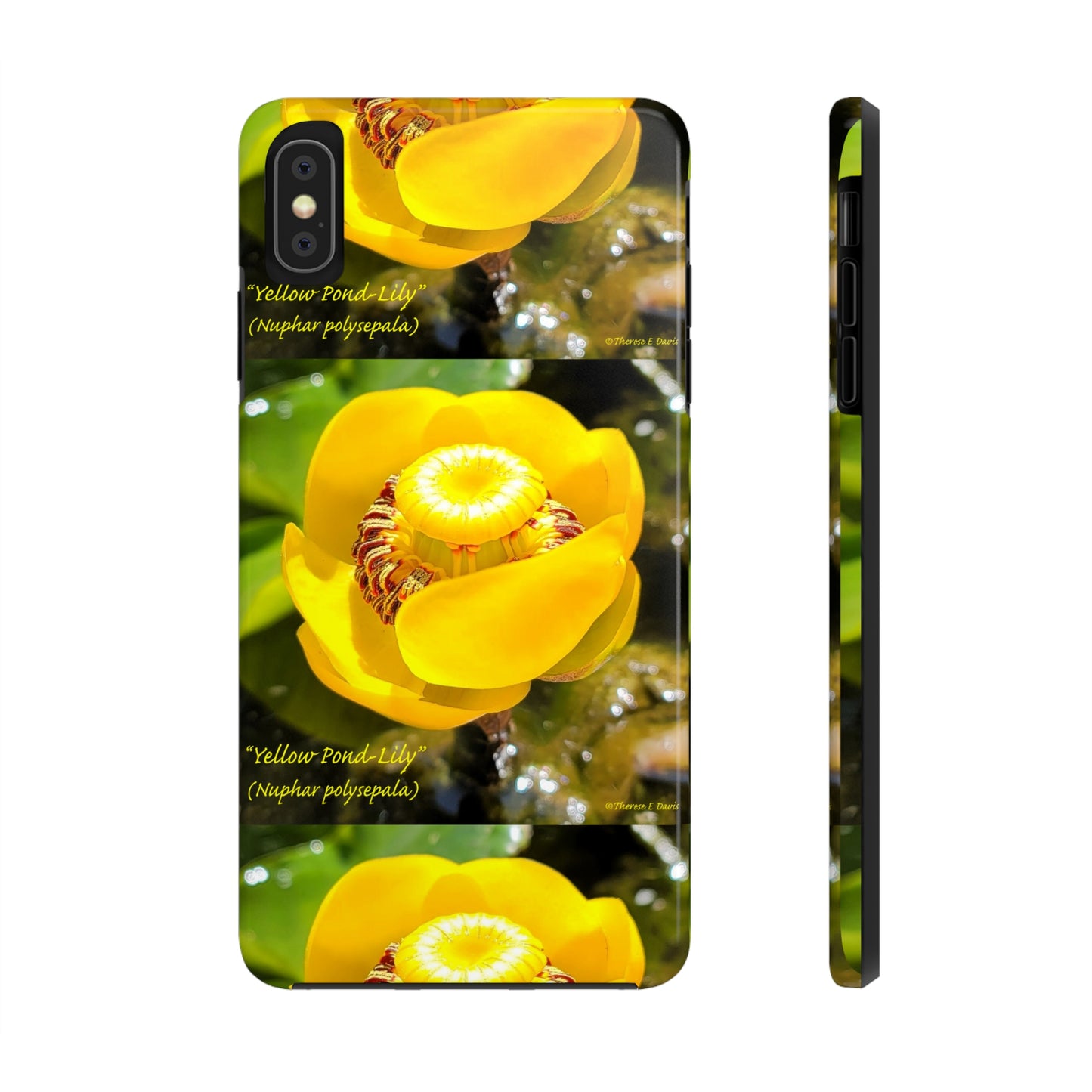 'Pond Lily Serenity' - Tough iPhone Cases (Models 7-15) (PT-00102-02-iP-SP-Bl)