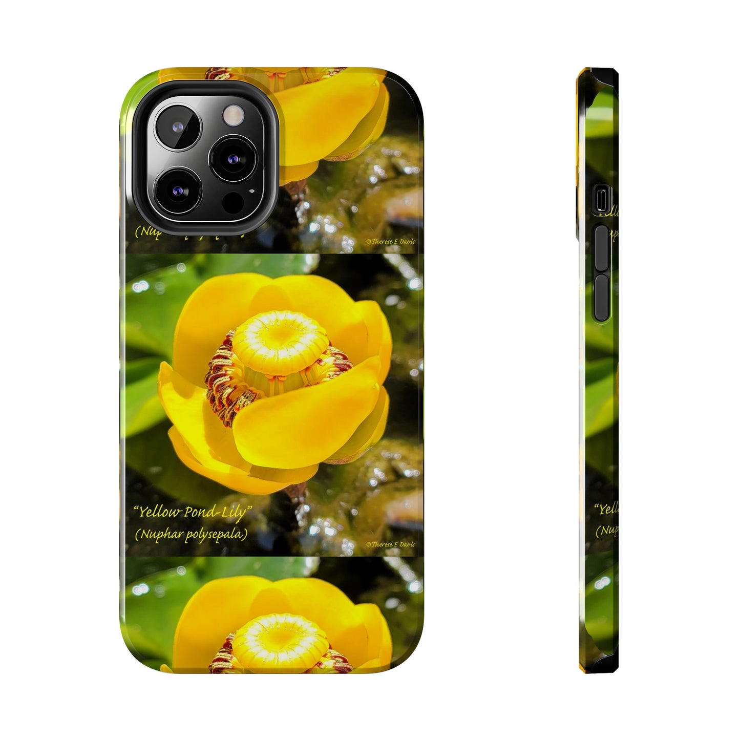 'Pond Lily Serenity' - Tough iPhone Cases (Models 7-15) (PT-00102-02-iP-SP-Bl)