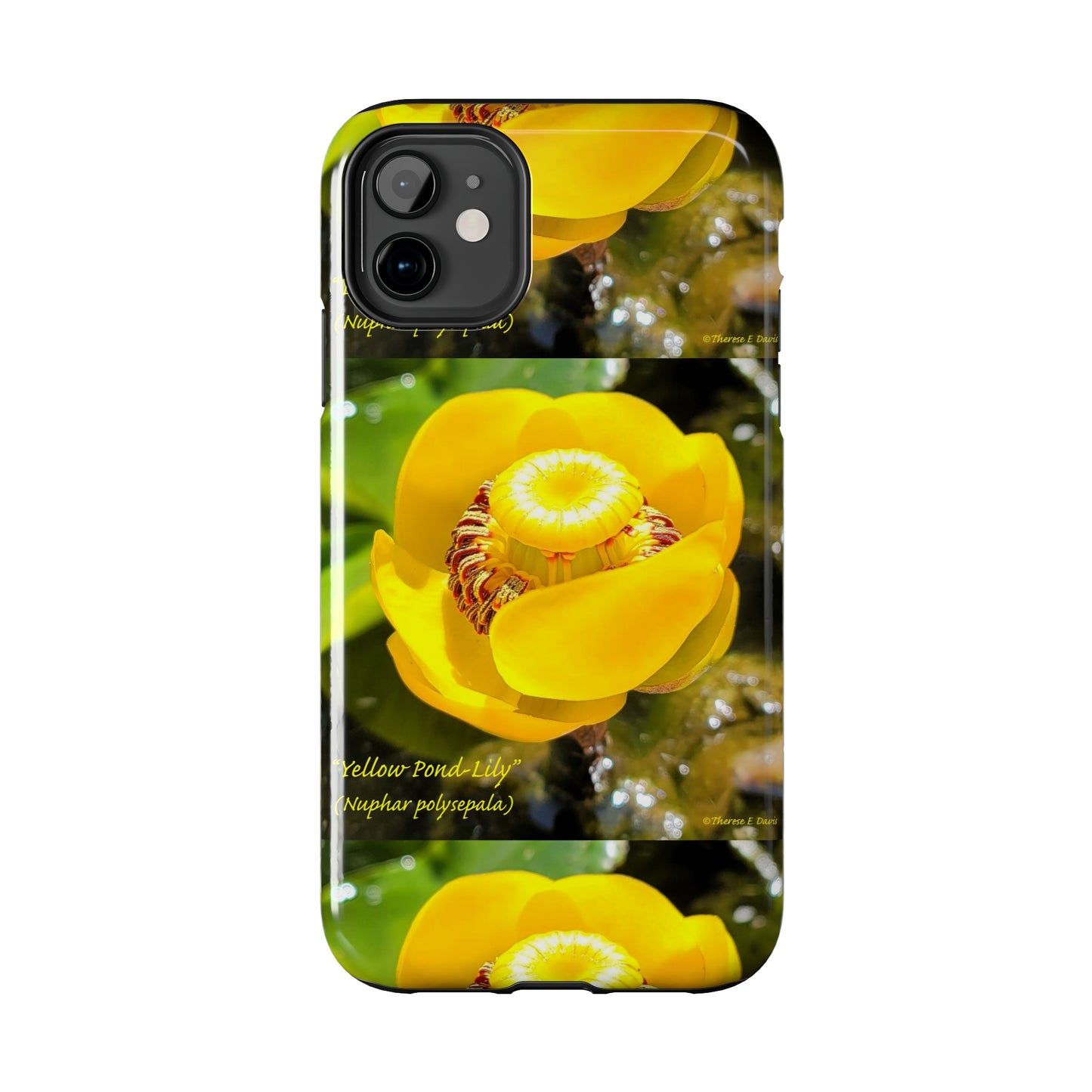 'Pond Lily Serenity' - Tough iPhone Cases (Models 7-15) (PT-00102-02-iP-SP-Bl)