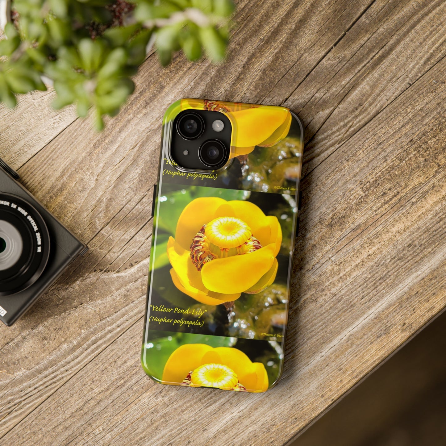 'Pond Lily Serenity' - Tough iPhone Cases (Models 7-15) (PT-00102-02-iP-SP-Bl)