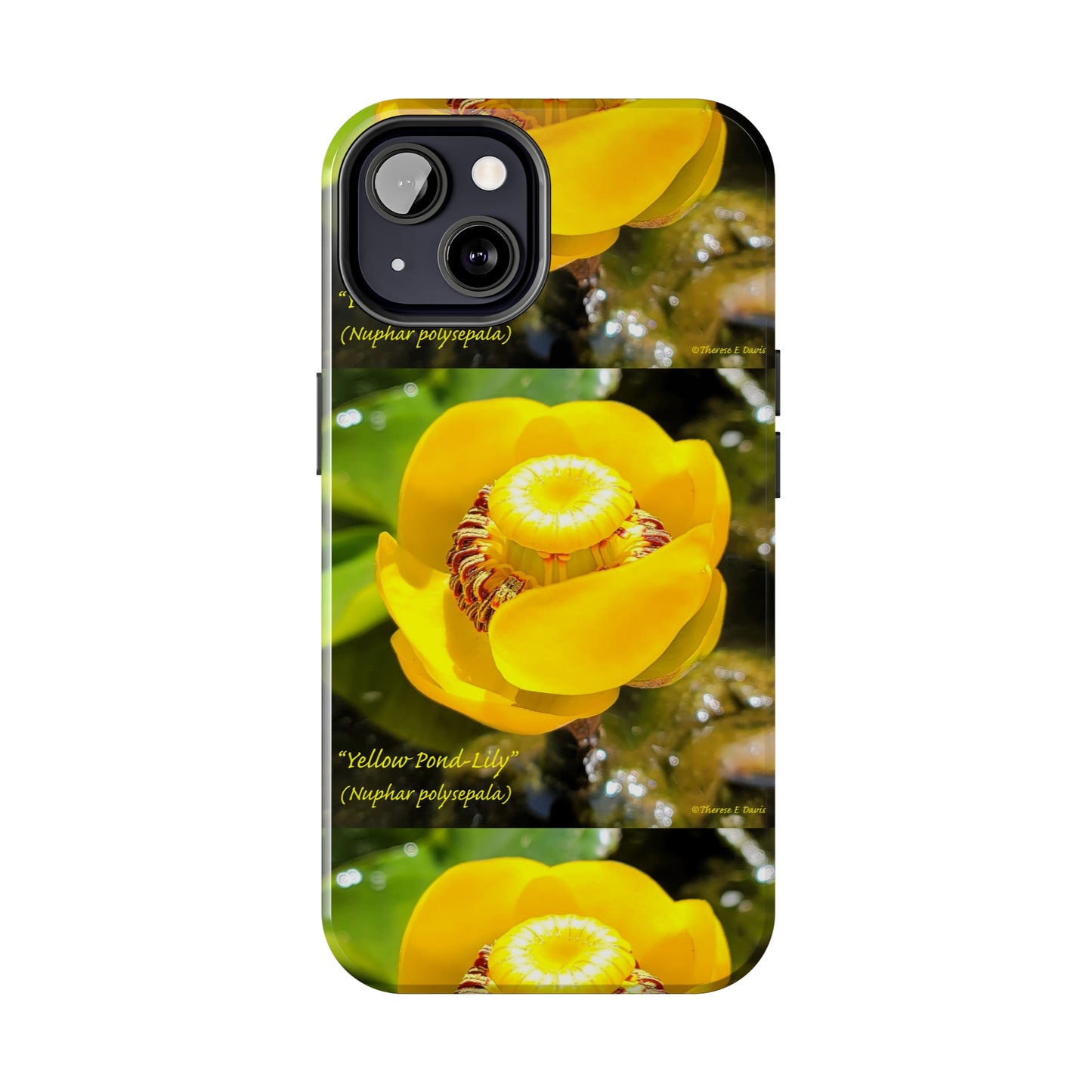 'Pond Lily Serenity' - Tough iPhone Cases (Models 7-15) (PT-00102-02-iP-SP-Bl)
