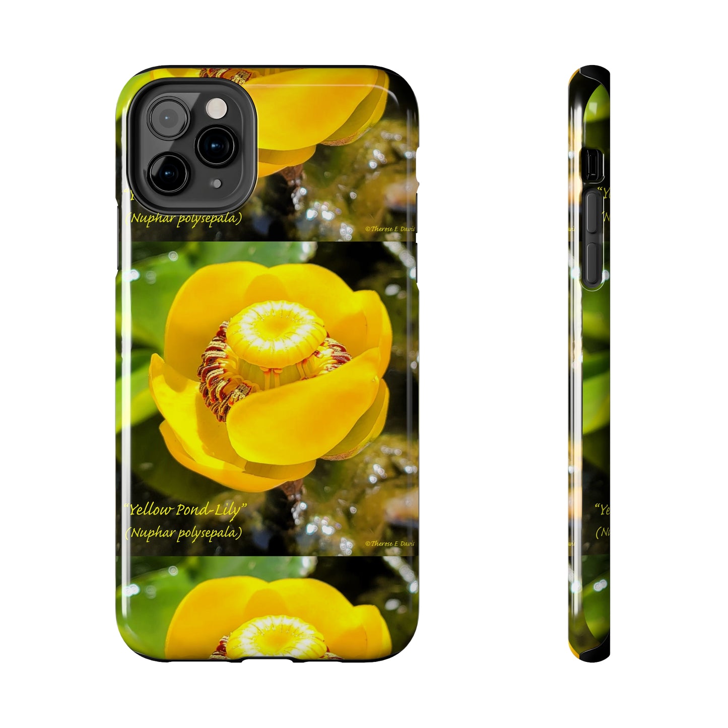 'Pond Lily Serenity' - Tough iPhone Cases (Models 7-15) (PT-00102-02-iP-SP-Bl)