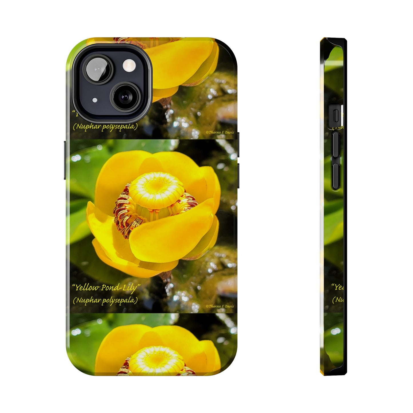 'Pond Lily Serenity' - Tough iPhone Cases (Models 7-15) (PT-00102-02-iP-SP-Bl)