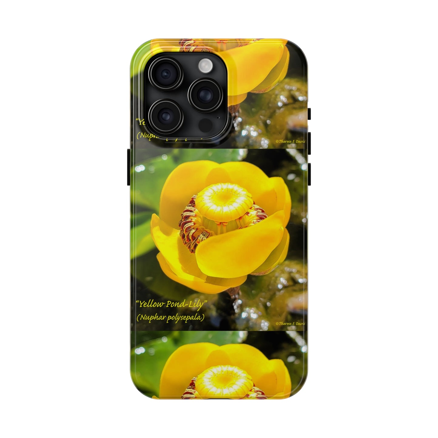 'Pond Lily Serenity' - Tough iPhone Cases (Models 7-15) (PT-00102-02-iP-SP-Bl)