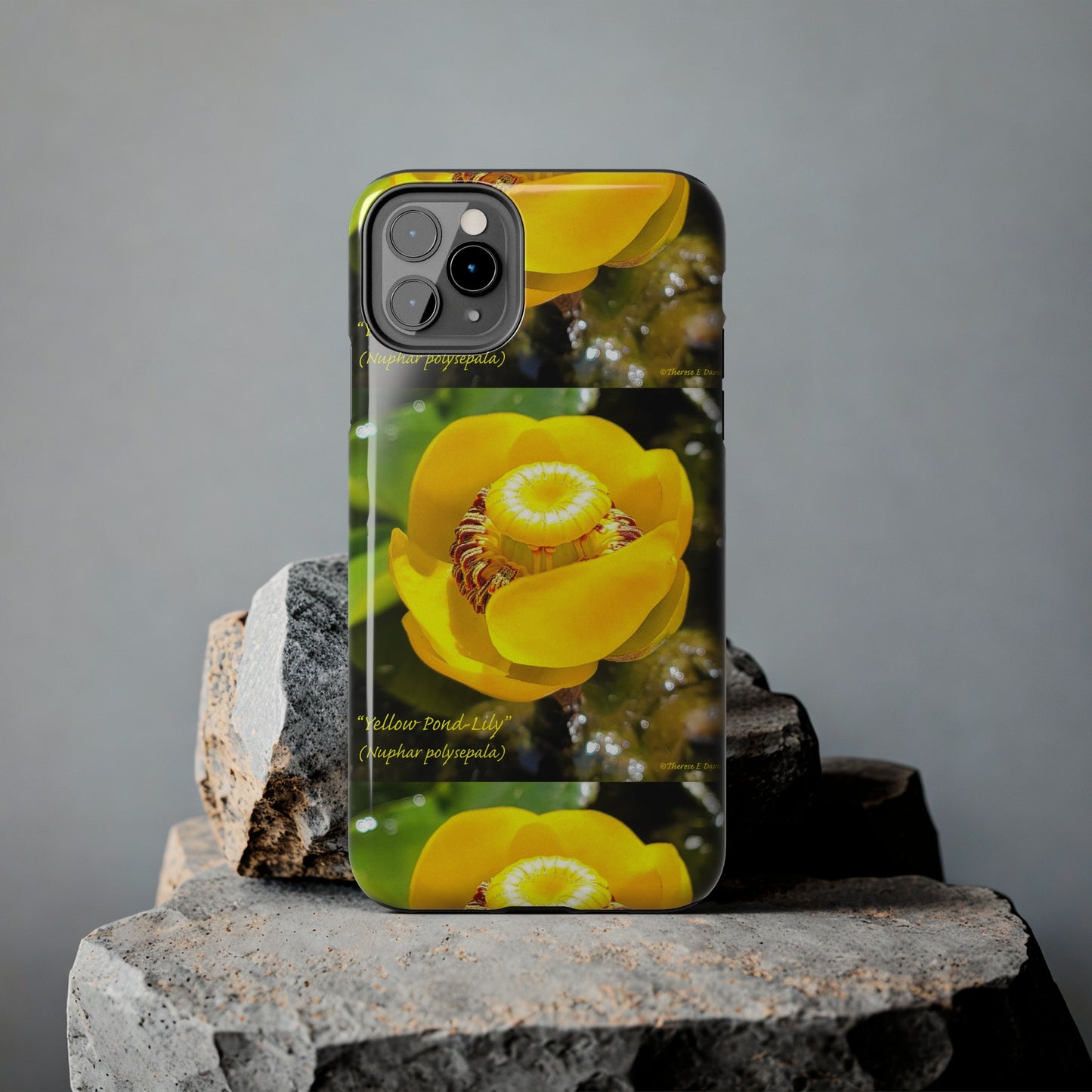 'Pond Lily Serenity' - Tough iPhone Cases (Models 7-15) (PT-00102-02-iP-SP-Bl)