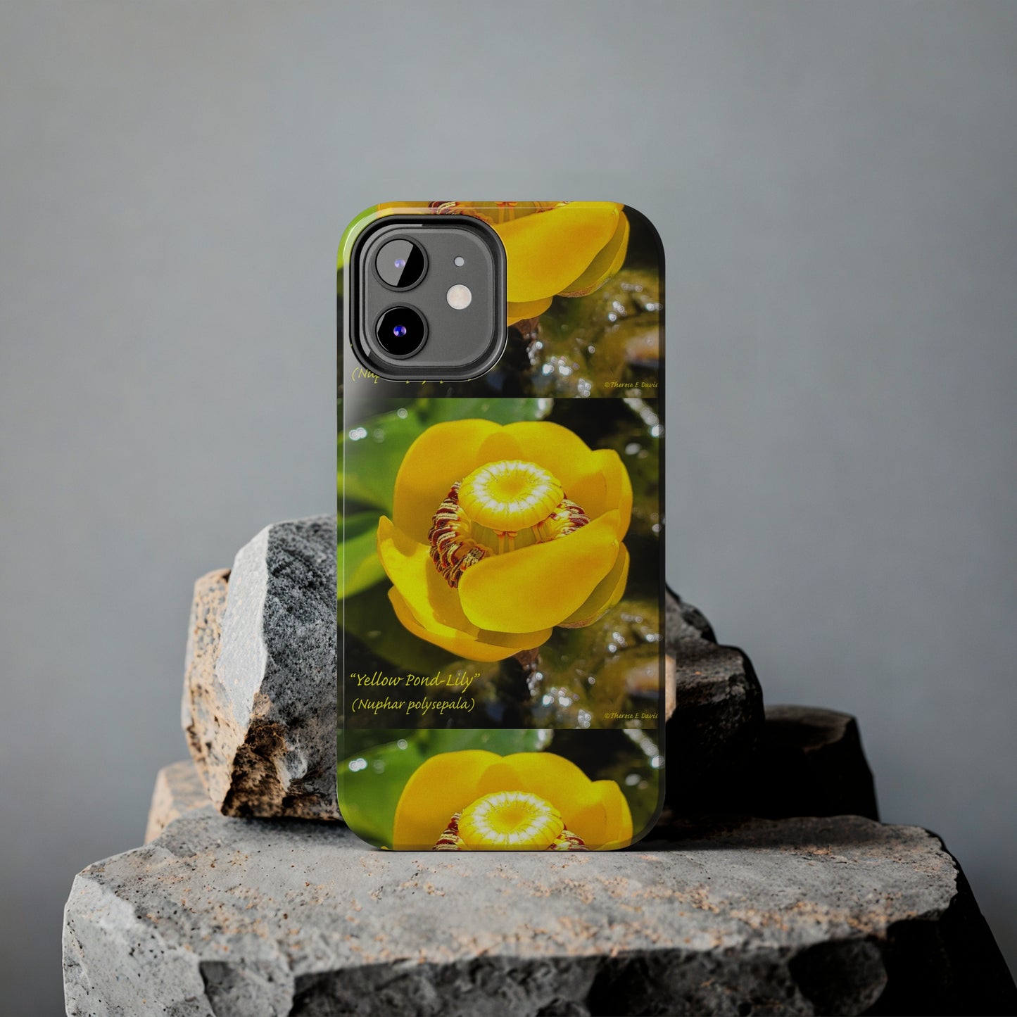 'Pond Lily Serenity' - Tough iPhone Cases (Models 7-15) (PT-00102-02-iP-SP-Bl)