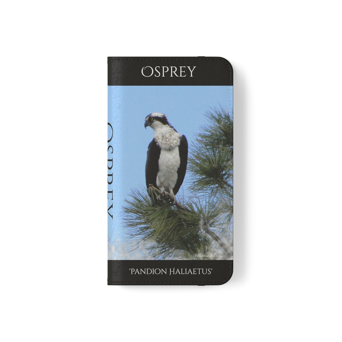 'Regal Osprey' Folio Phone Case - Samsung Galaxy S22 (PF-00104-01-SGS22-WO-Bl)